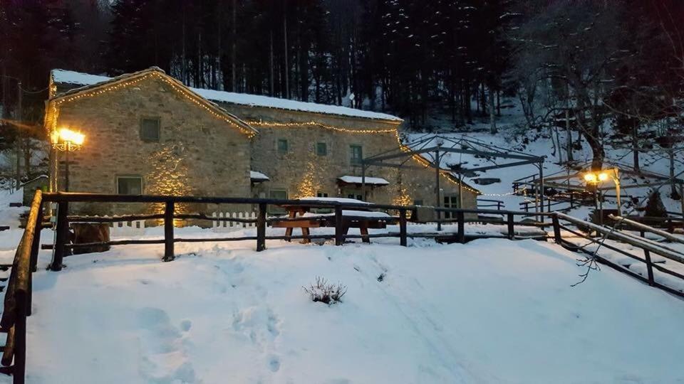 Agriturismo Al Castagno Apartment